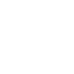 Customs Icon
